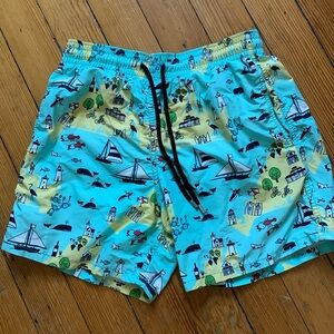 Vilebrequin Moorea Martha’s Vineyard print swim shorts EUC